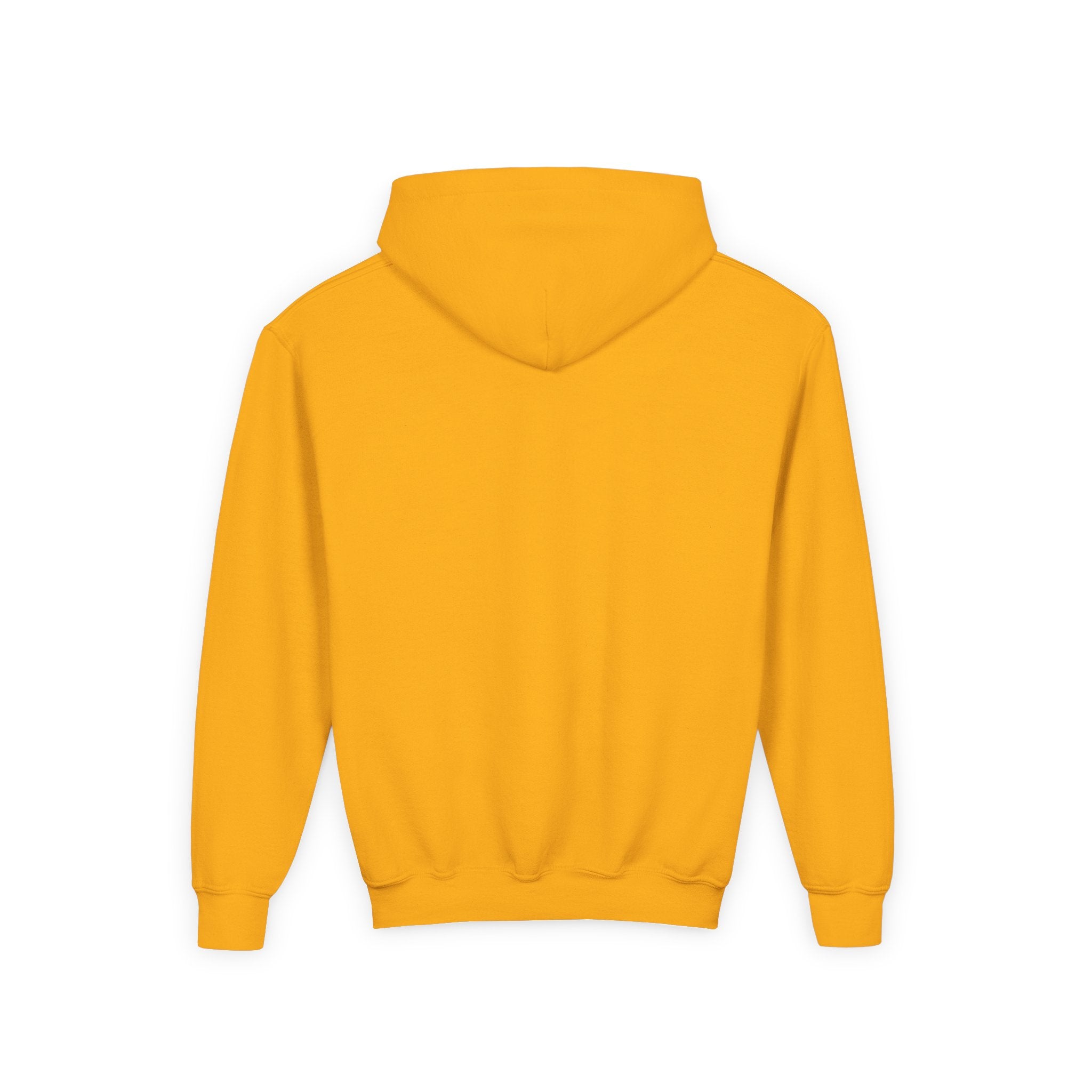 DirtyGlove Baseball | "DG Iced" | Hoodie | Youth