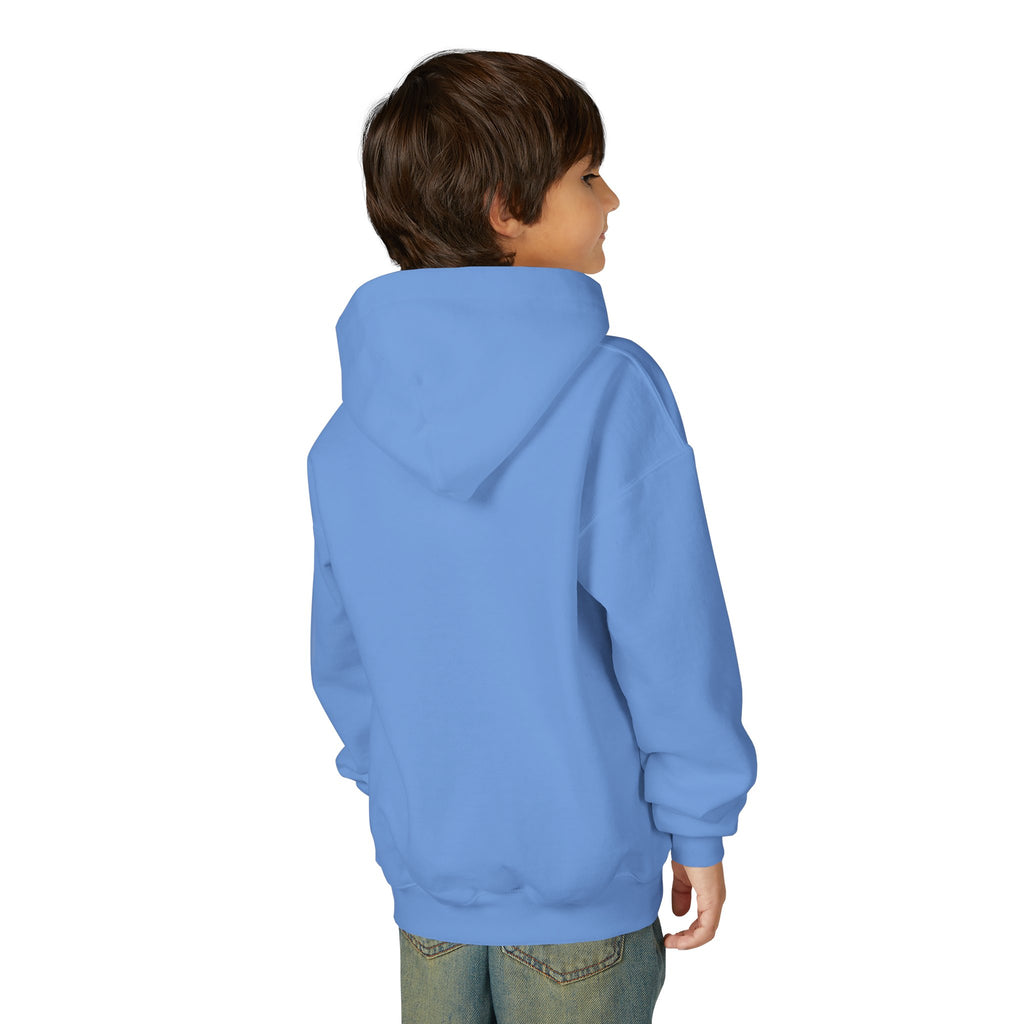 DirtyGlove Baseball | "DG Iced" | Hoodie | Youth