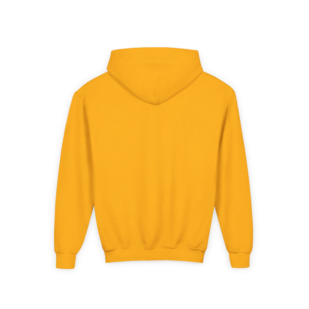 Dirty Glove Baseball | "DGB Circle" | Hoodie