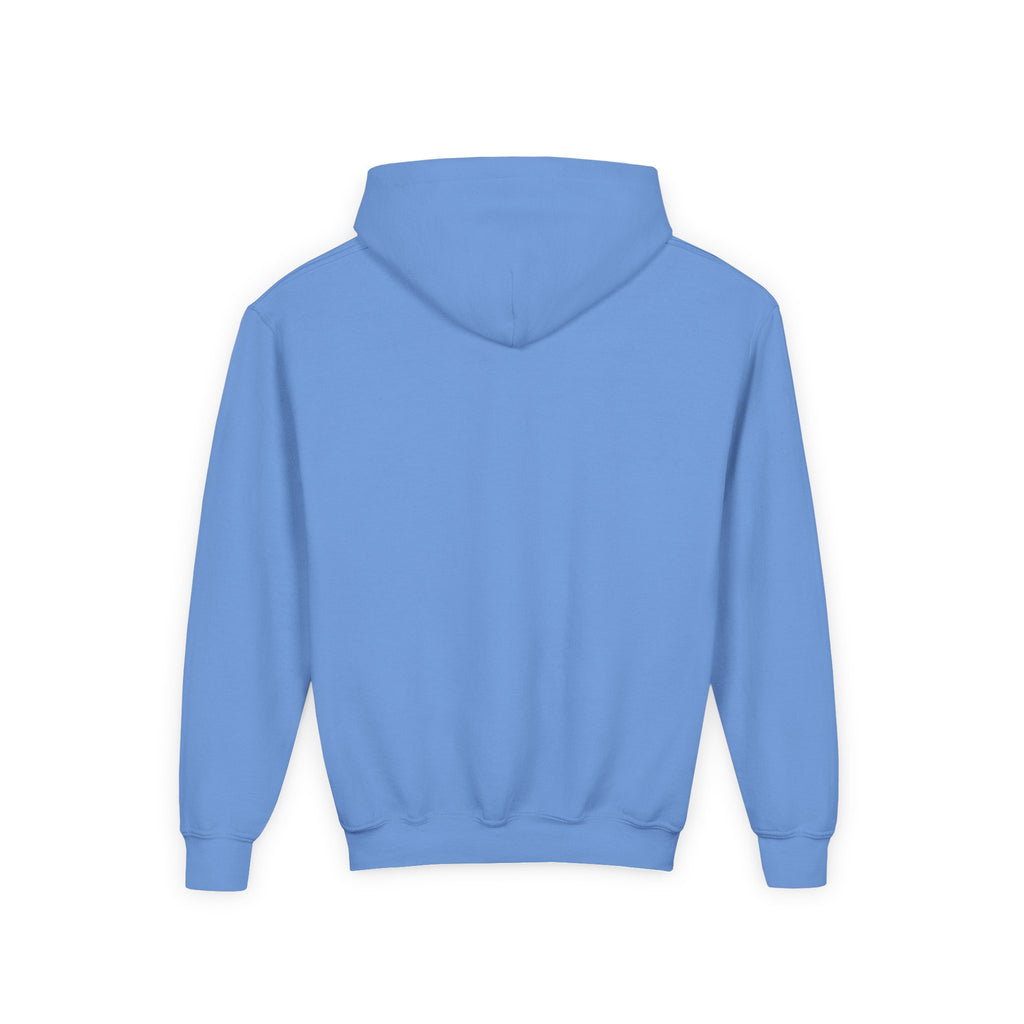 DirtyGlove Baseball | "DG Iced" | Hoodie | Youth