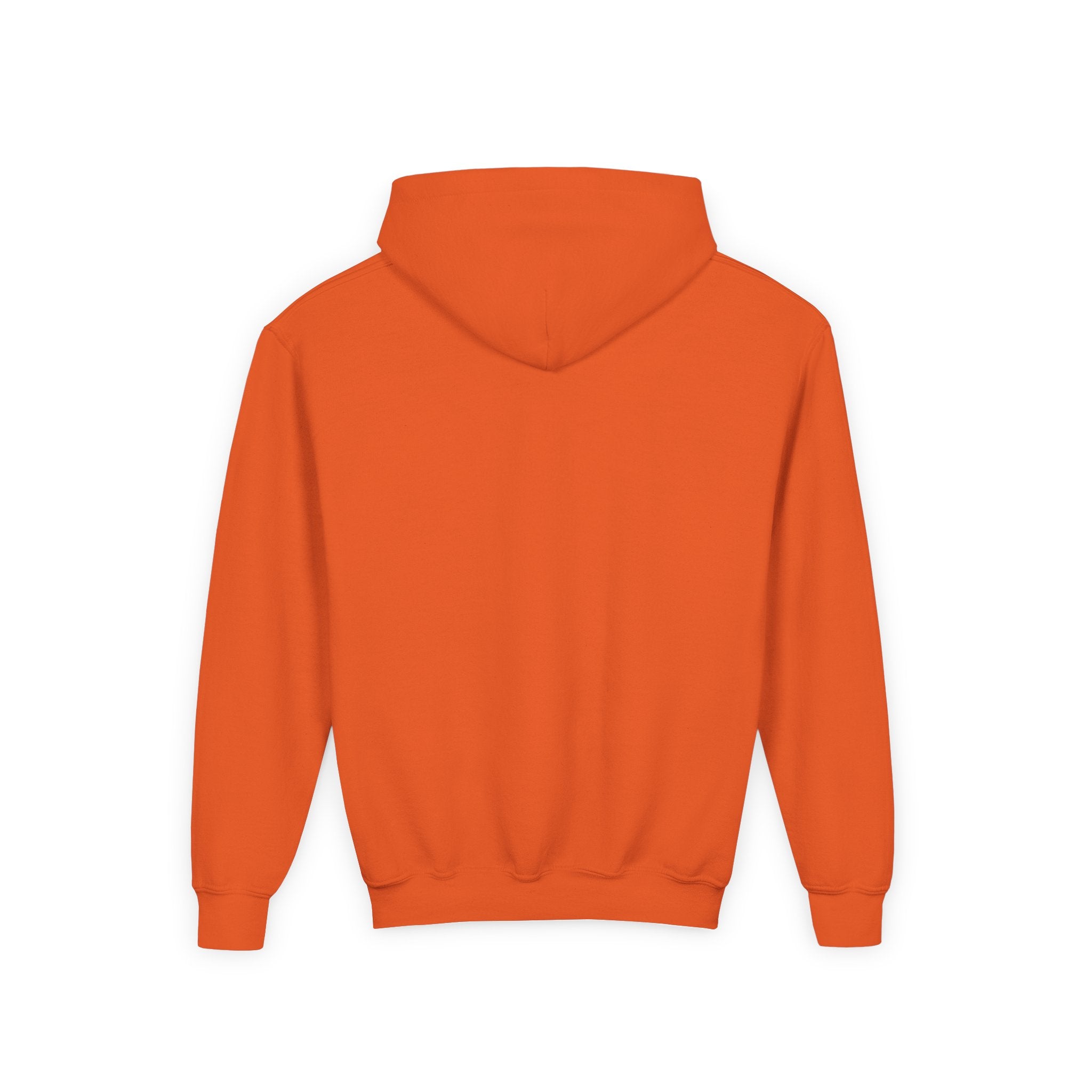 DirtyGlove Baseball | "DG Iced" | Hoodie | Youth
